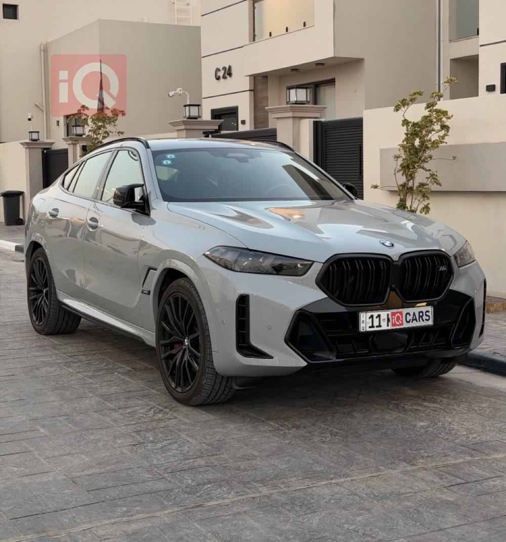BMW X6